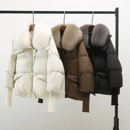 Indi | Veste